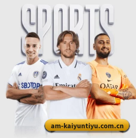 五大服务分区,信息按项目分类 - kaiyun